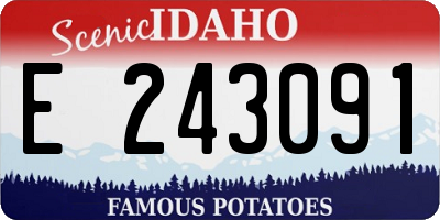ID license plate E243091