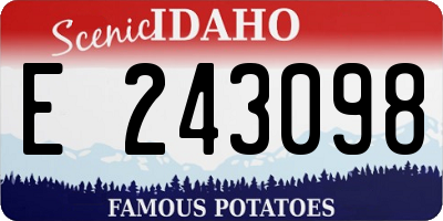 ID license plate E243098