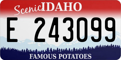 ID license plate E243099