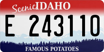 ID license plate E243110