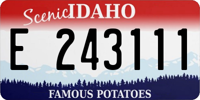 ID license plate E243111