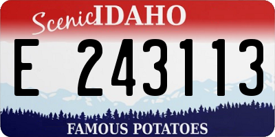 ID license plate E243113