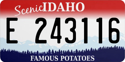 ID license plate E243116