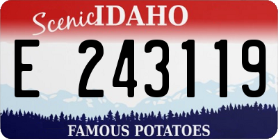 ID license plate E243119