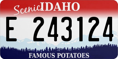 ID license plate E243124