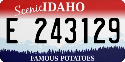 ID license plate E243129