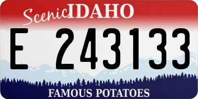 ID license plate E243133