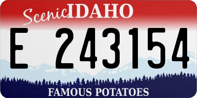ID license plate E243154