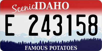 ID license plate E243158