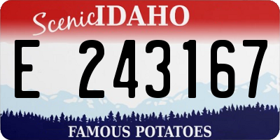 ID license plate E243167