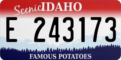 ID license plate E243173