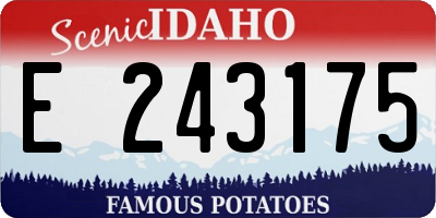 ID license plate E243175