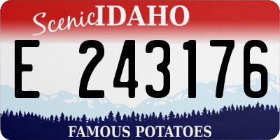 ID license plate E243176