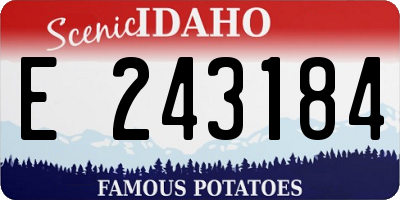 ID license plate E243184