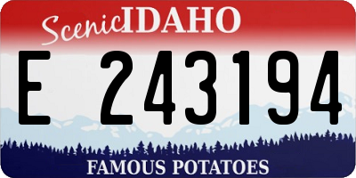 ID license plate E243194