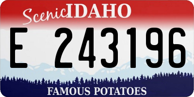 ID license plate E243196
