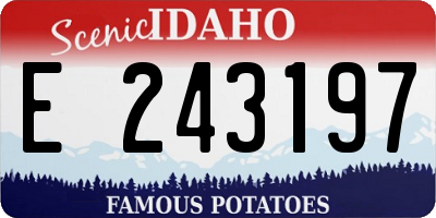 ID license plate E243197