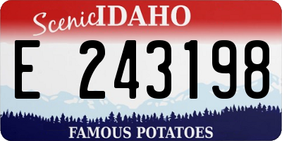 ID license plate E243198