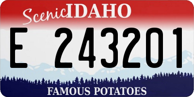 ID license plate E243201
