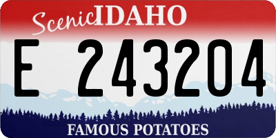 ID license plate E243204