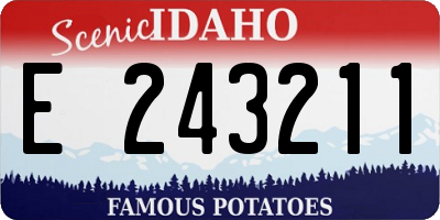 ID license plate E243211