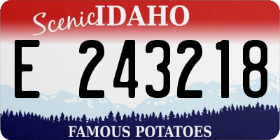 ID license plate E243218