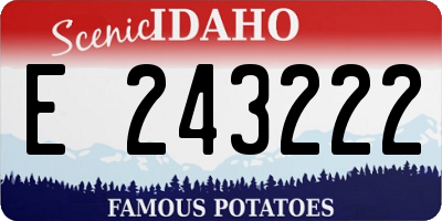 ID license plate E243222