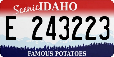 ID license plate E243223