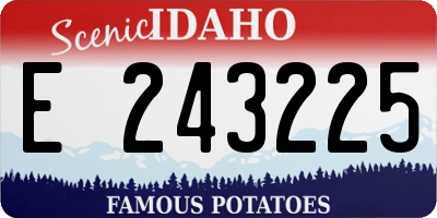 ID license plate E243225