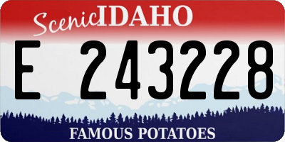 ID license plate E243228