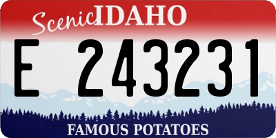 ID license plate E243231