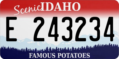 ID license plate E243234