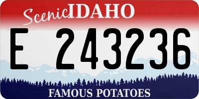 ID license plate E243236
