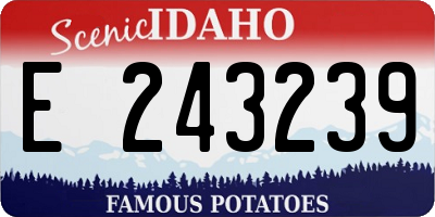 ID license plate E243239