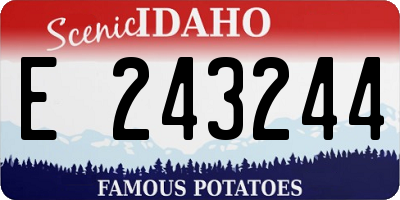 ID license plate E243244