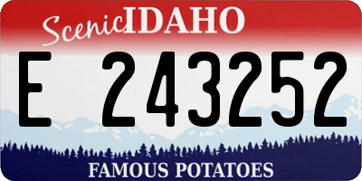 ID license plate E243252