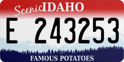 ID license plate E243253