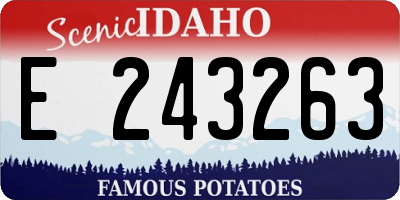 ID license plate E243263