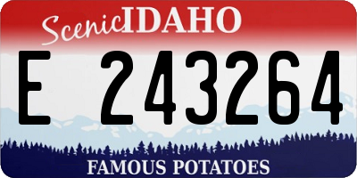 ID license plate E243264