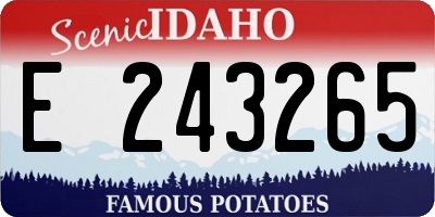 ID license plate E243265
