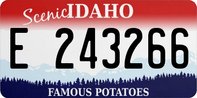 ID license plate E243266