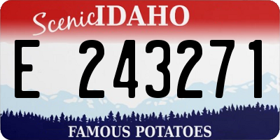 ID license plate E243271