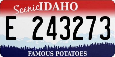 ID license plate E243273