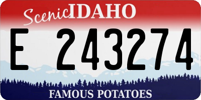 ID license plate E243274