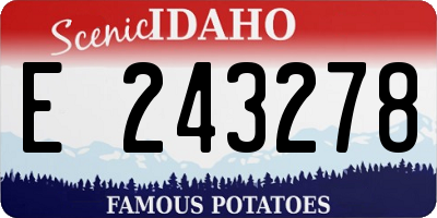 ID license plate E243278