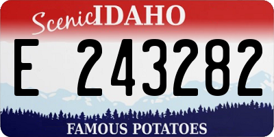 ID license plate E243282