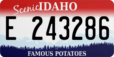 ID license plate E243286