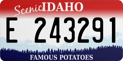 ID license plate E243291