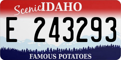 ID license plate E243293