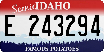 ID license plate E243294